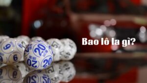 Bao lô là gì?