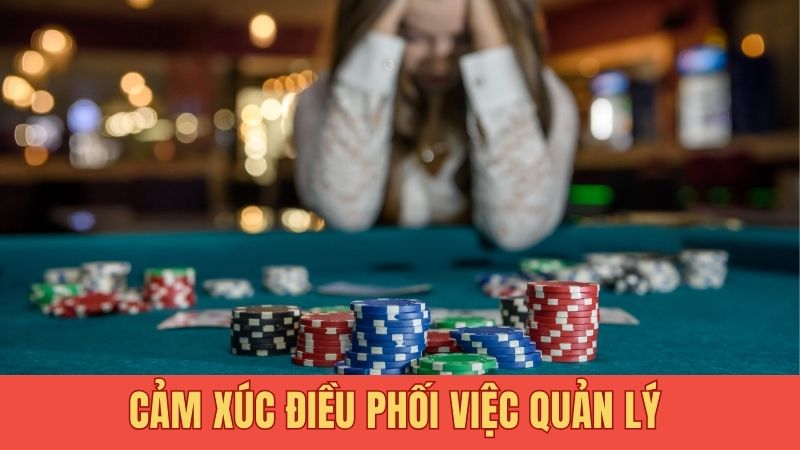 Cảm xúc điều phối việc quản lý 