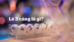 Lô 3 càng là gì?